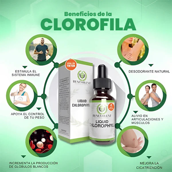 Benevolent™ Clorofila Liquida - Solución en Gotas