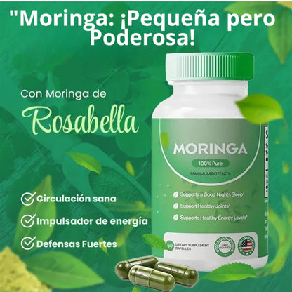 Moringa Rosabella®️