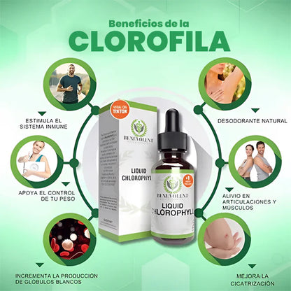 Benevolent™ Clorofila Liquida - Solución en Gotas