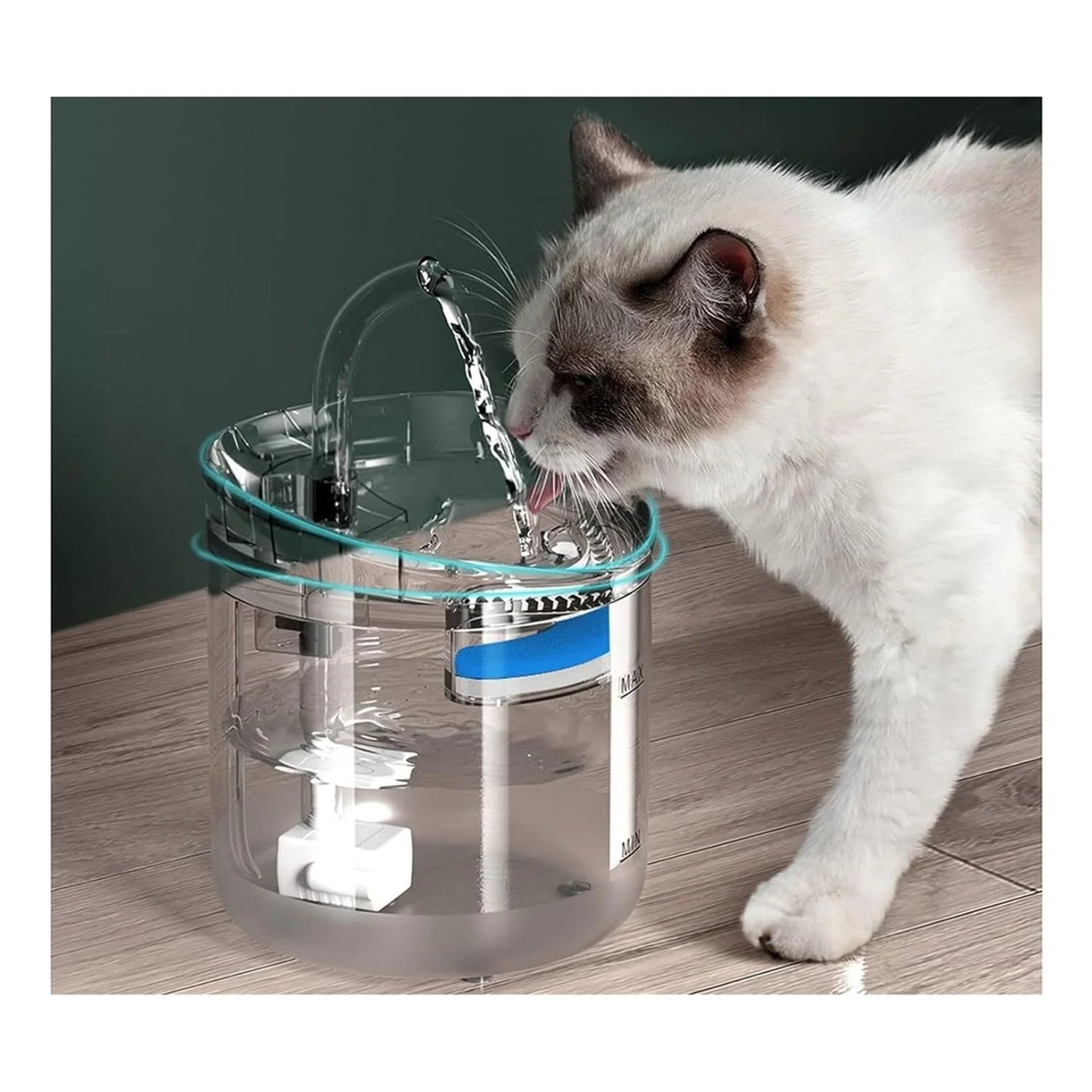 PetSpring® - Fuente de agua automática para mascotas