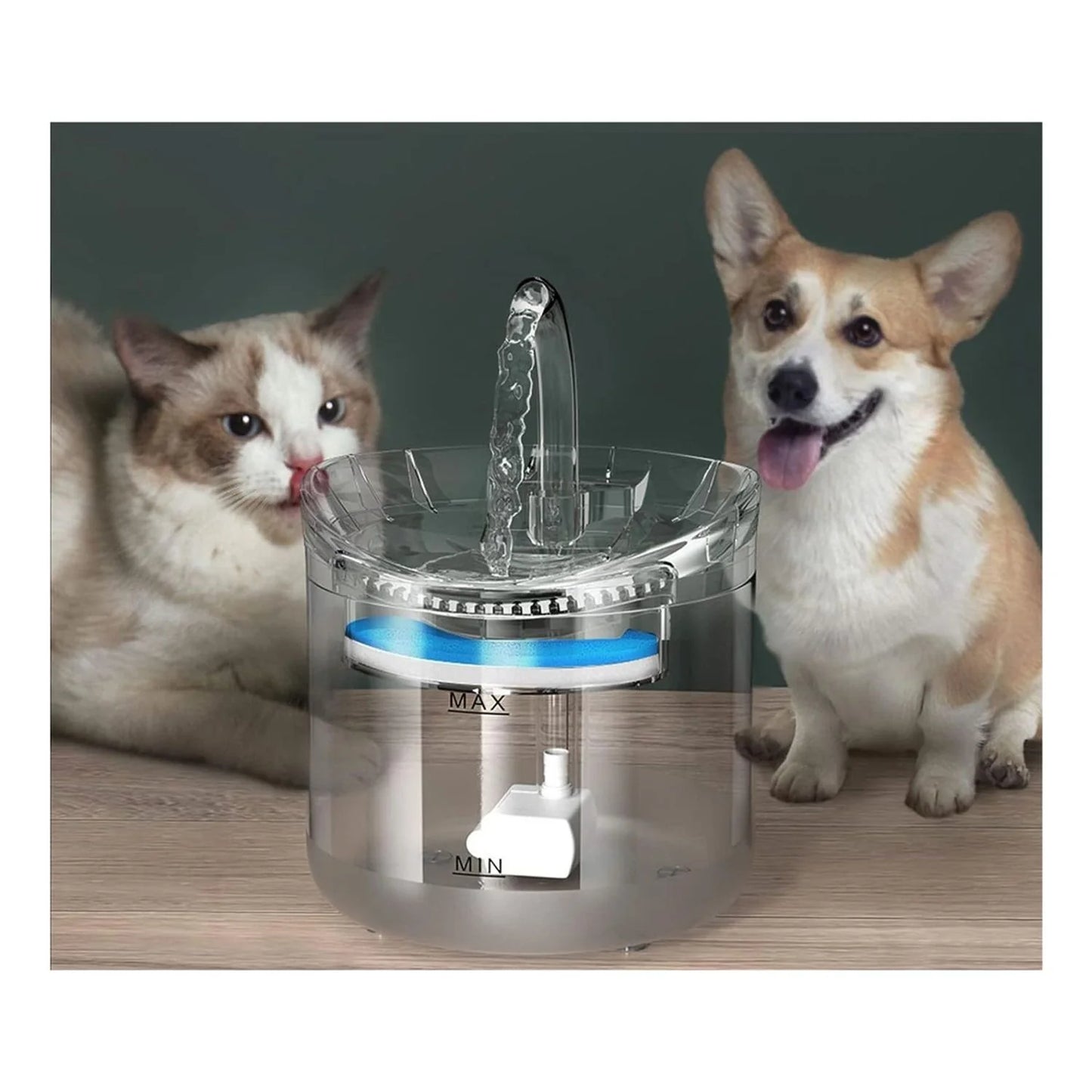 PetSpring® - Fuente de agua automática para mascotas